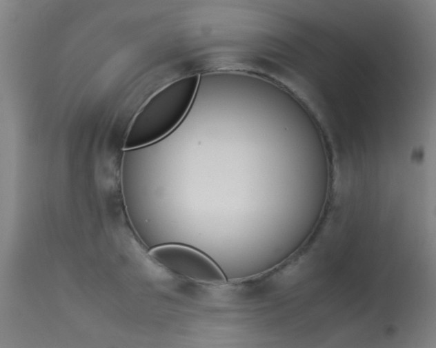 X0000114170897200910221648