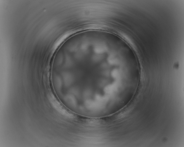 X0000114170899200910221648