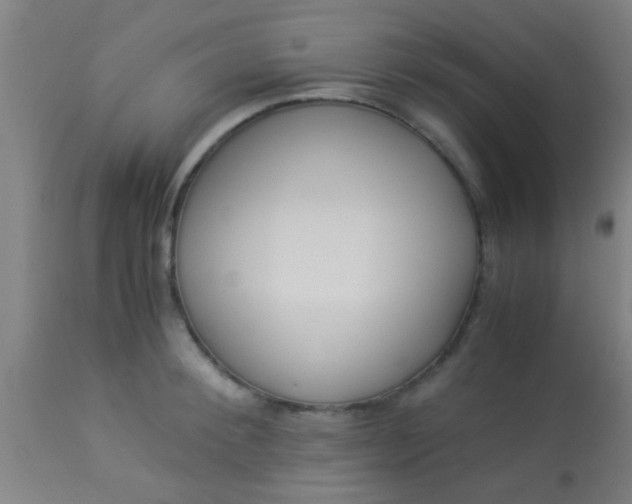 X0000114170900200910221648