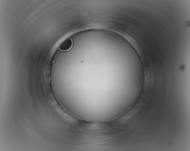 X0000114170904200910221648