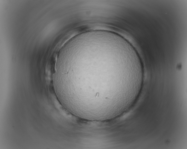 X0000114170905200910221648