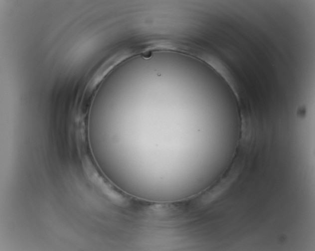 X0000114170906200910221648