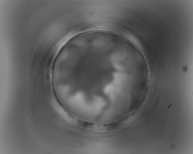 X0000114170907200910221648