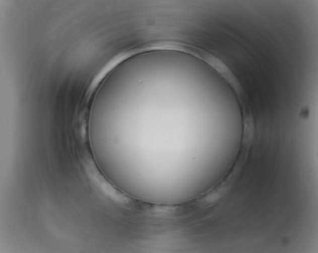 X0000114170908200910221648