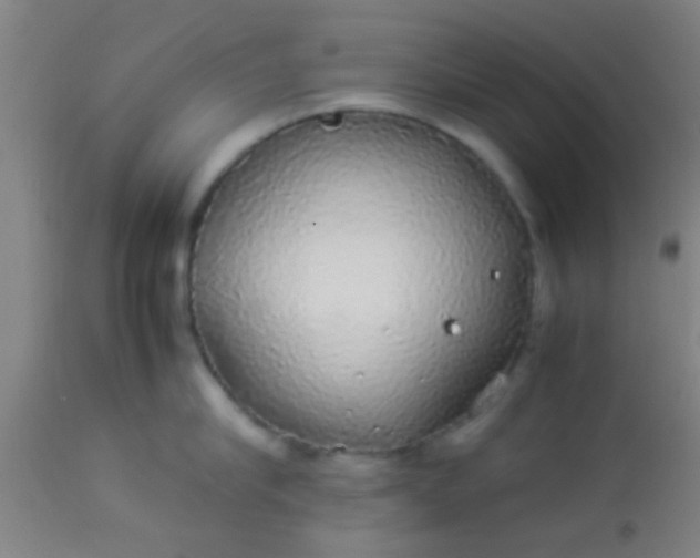 X0000114170910200910221648