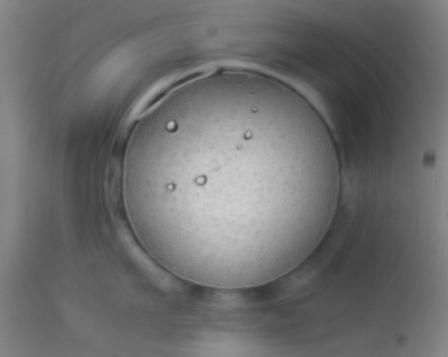 X0000114170911200910221648