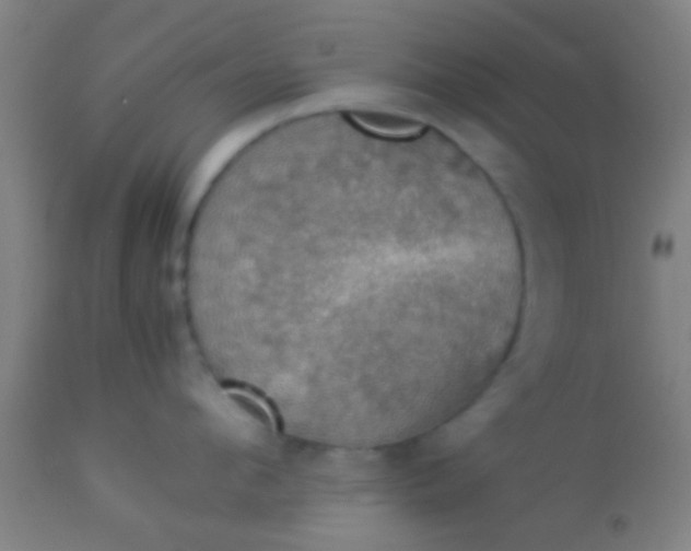 X0000114170912200910221648