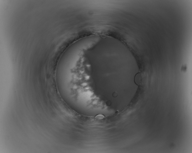 X0000114170913200910221647