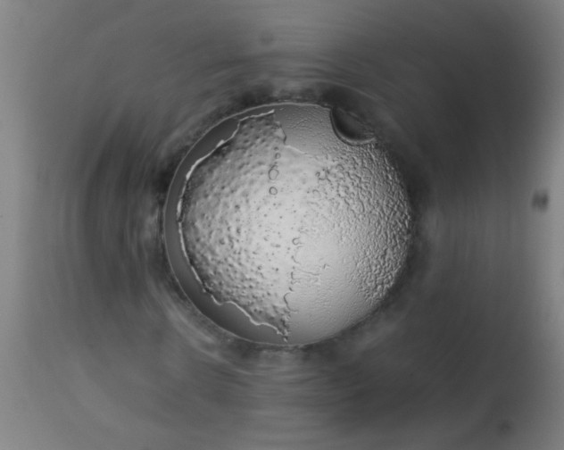 X0000114170914200910221647