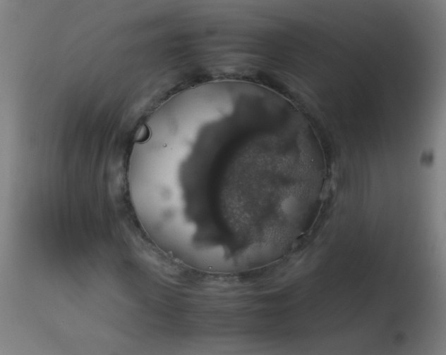 X0000114170915200910221647