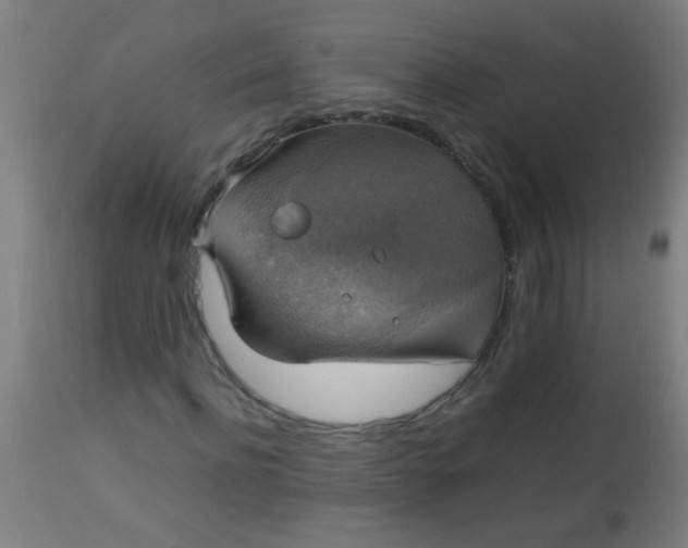 X0000114170916200910221647