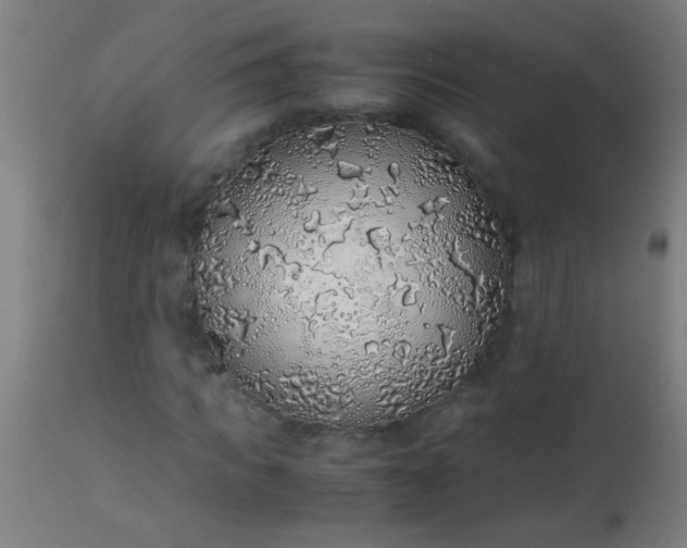 X0000114170917200910221647