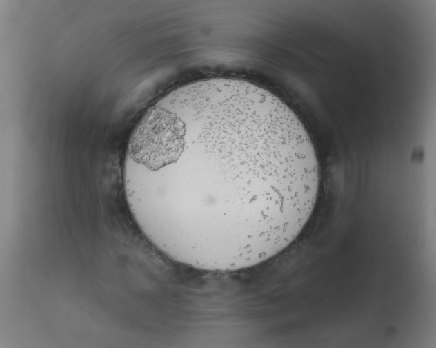 X0000114170918200910221647