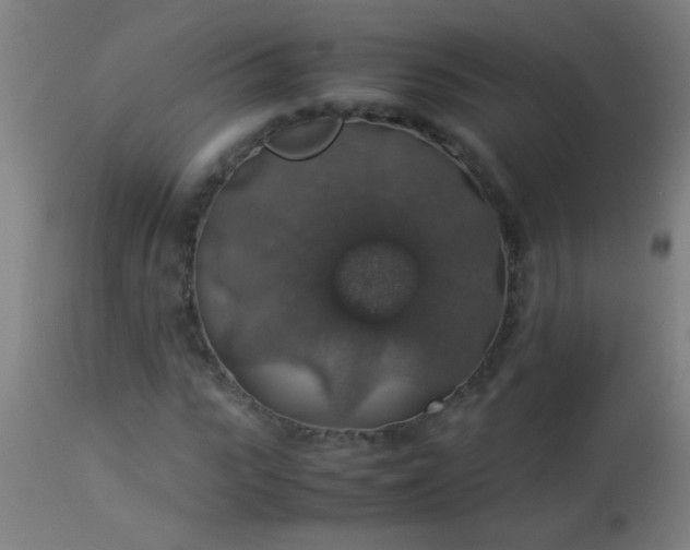 X0000114170919200910221647