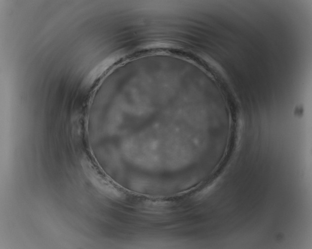 X0000114170921200910221647