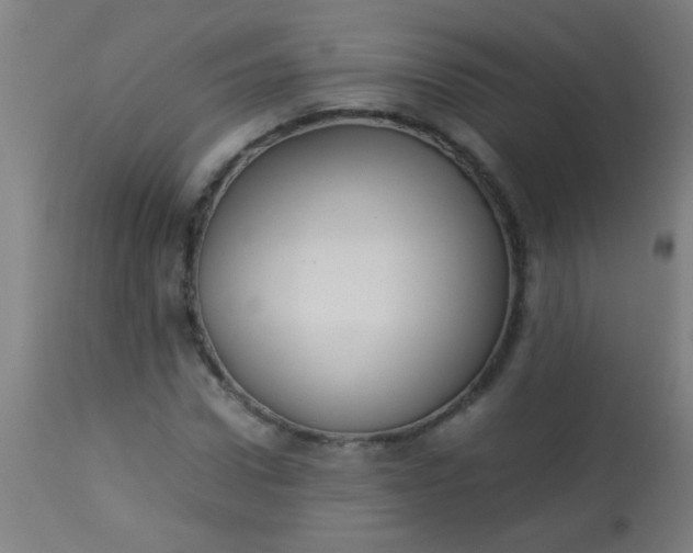 X0000114170922200910221647