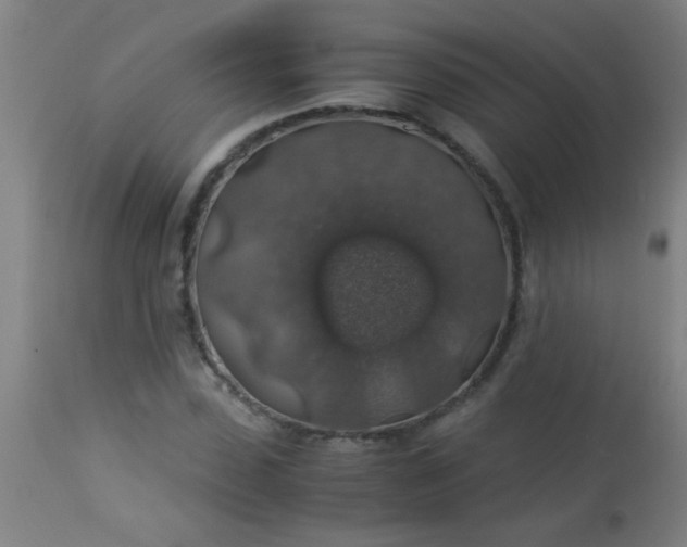 X0000114170923200910221647