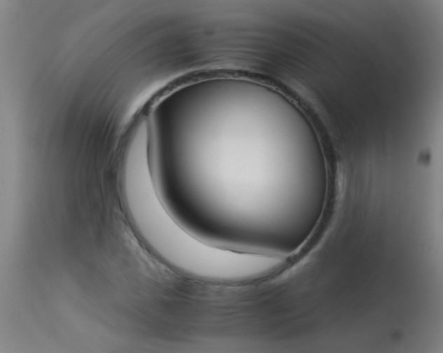 X0000114170925200910221647