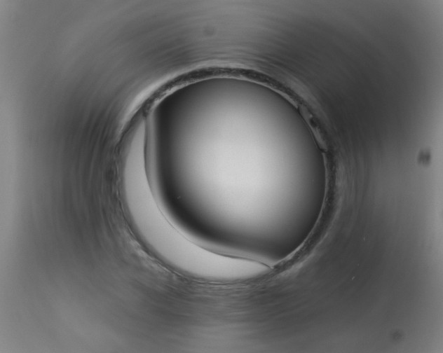 X0000114170926200910221647