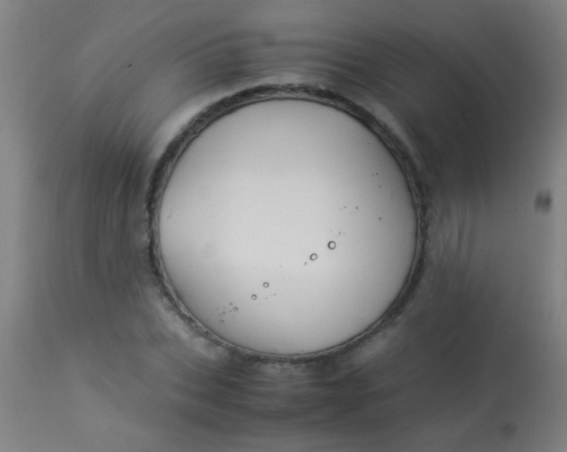 X0000114170927200910221647