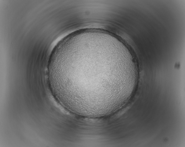 X0000114170928200910221647