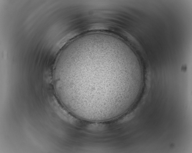 X0000114170929200910221647