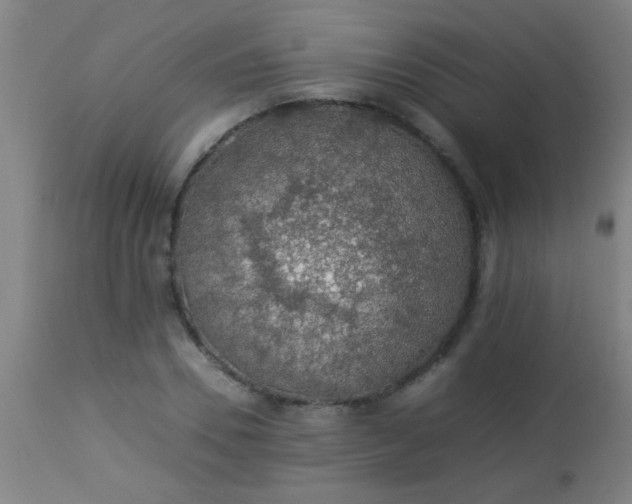 X0000114170930200910221647