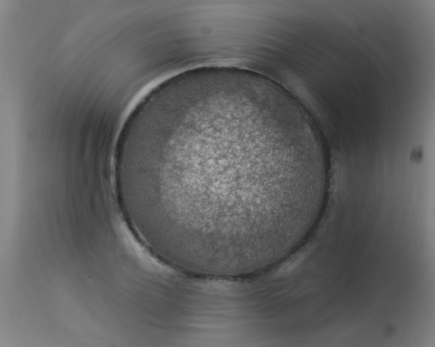 X0000114170932200910221647