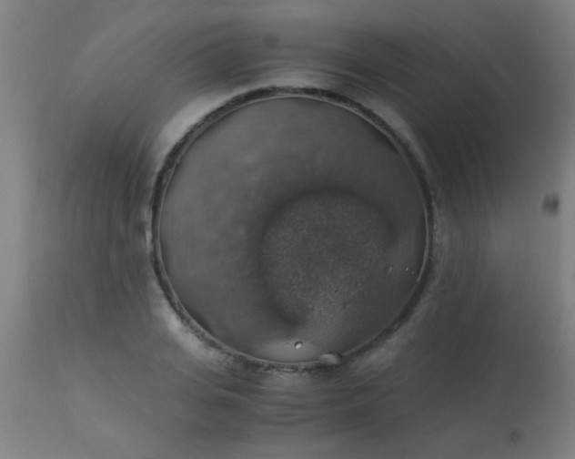 X0000114170935200910221647