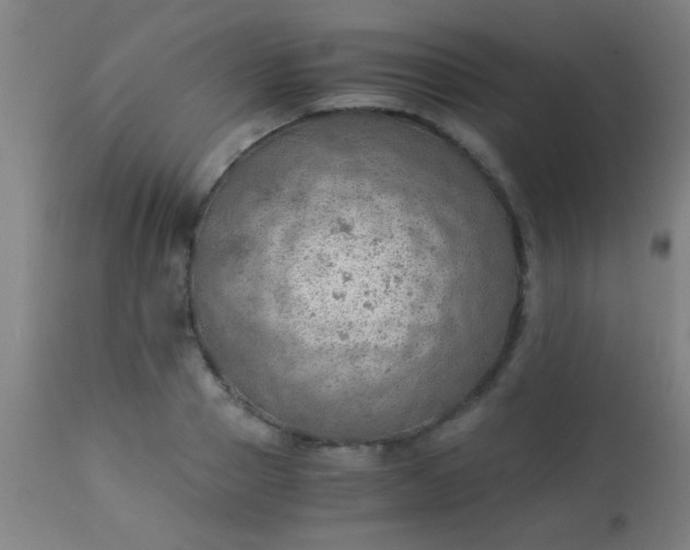 X0000114170937200910221647