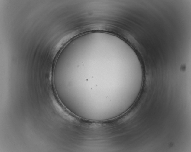 X0000114170938200910221647