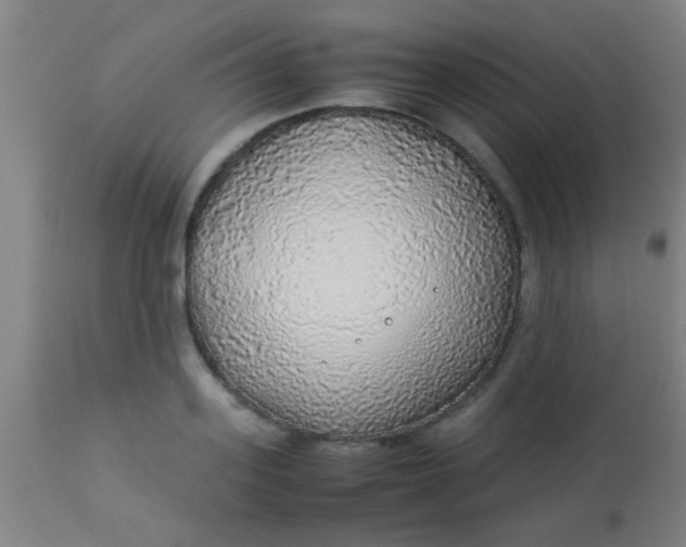 X0000114170939200910221647