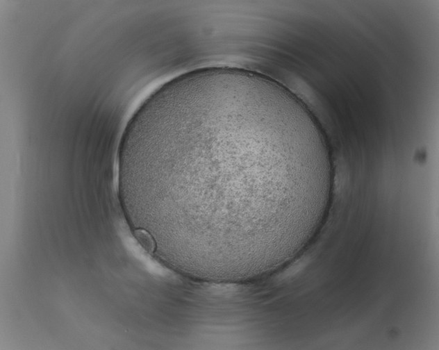 X0000114170940200910221647