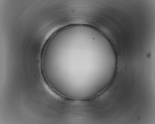 X0000114170942200910221647