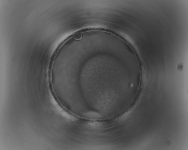 X0000114170943200910221647