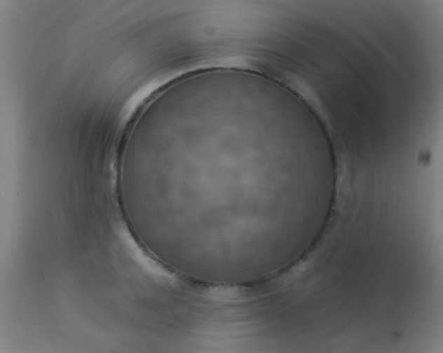 X0000114170944200910221647