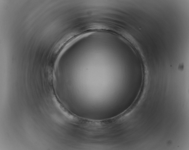 X0000114170945200910221647