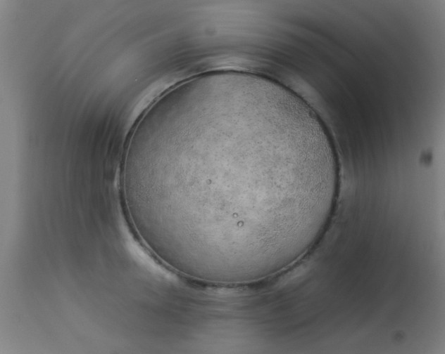 X0000114170946200910221647