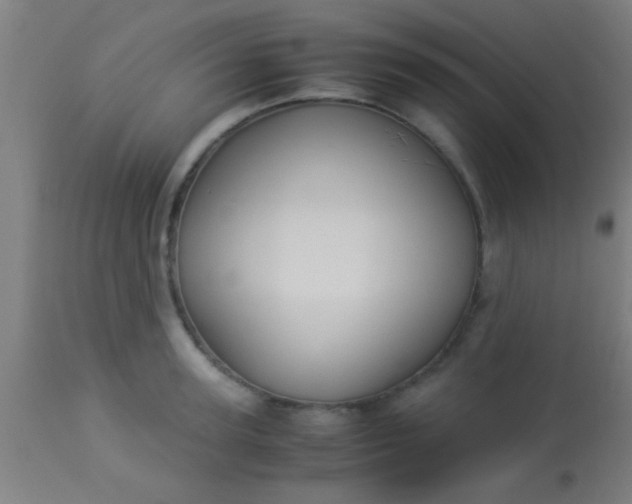 X0000114170947200910221647