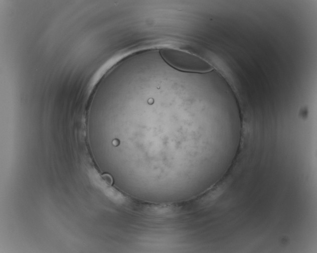 X0000114170948200910221647