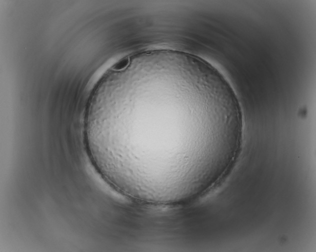 X0000114170949200910221647