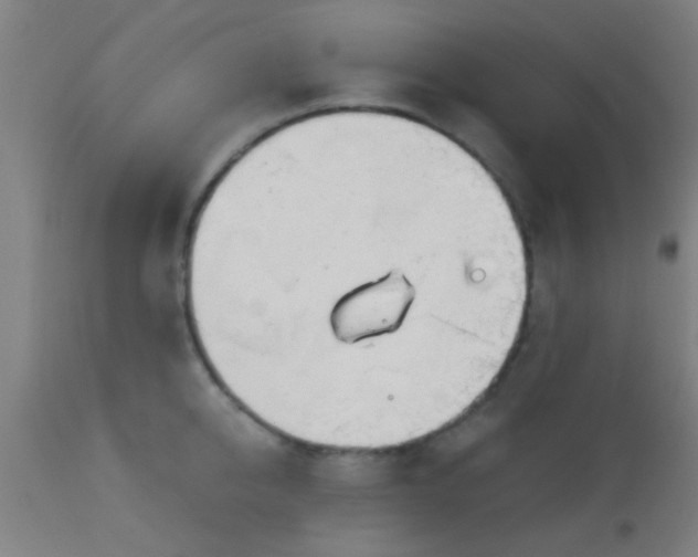 X0000114170950200910221647