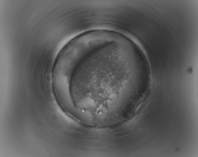 X0000114170951200910221647