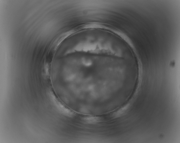 X0000114170953200910221648