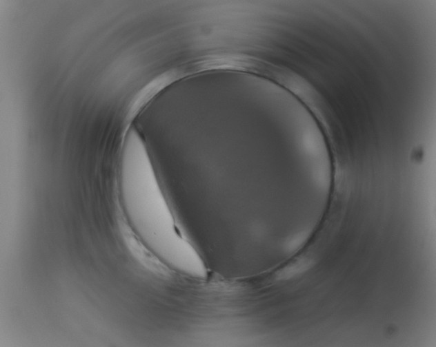 X0000114170954200910221648