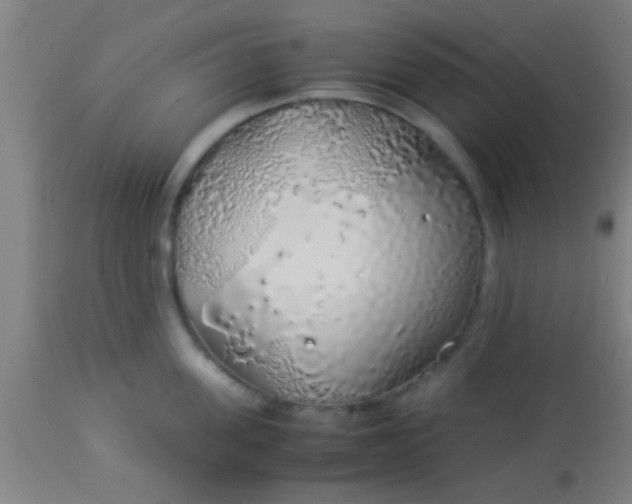 X0000114170955200910221648