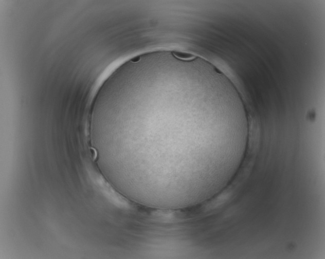 X0000114170956200910221648