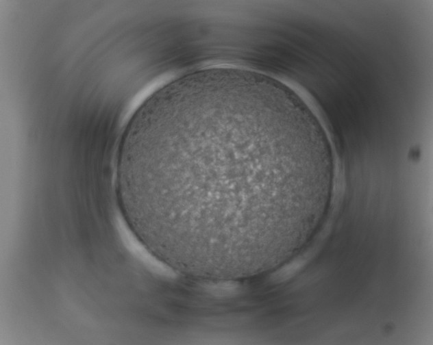 X0000114170957200910221648