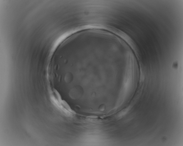 X0000114170958200910221648