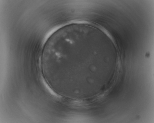 X0000114170959200910221648